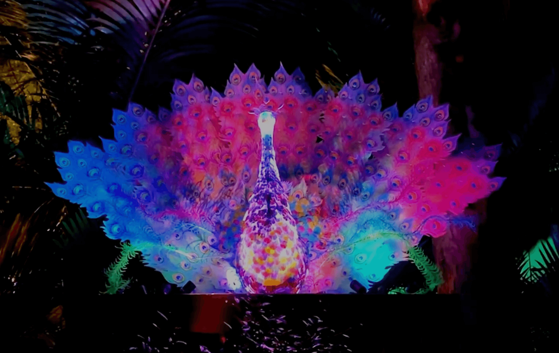 TSB Festival of Lights 2019