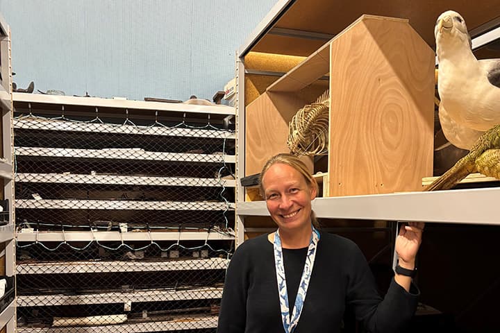 Caring for our Taonga with Curator Severine Hannam