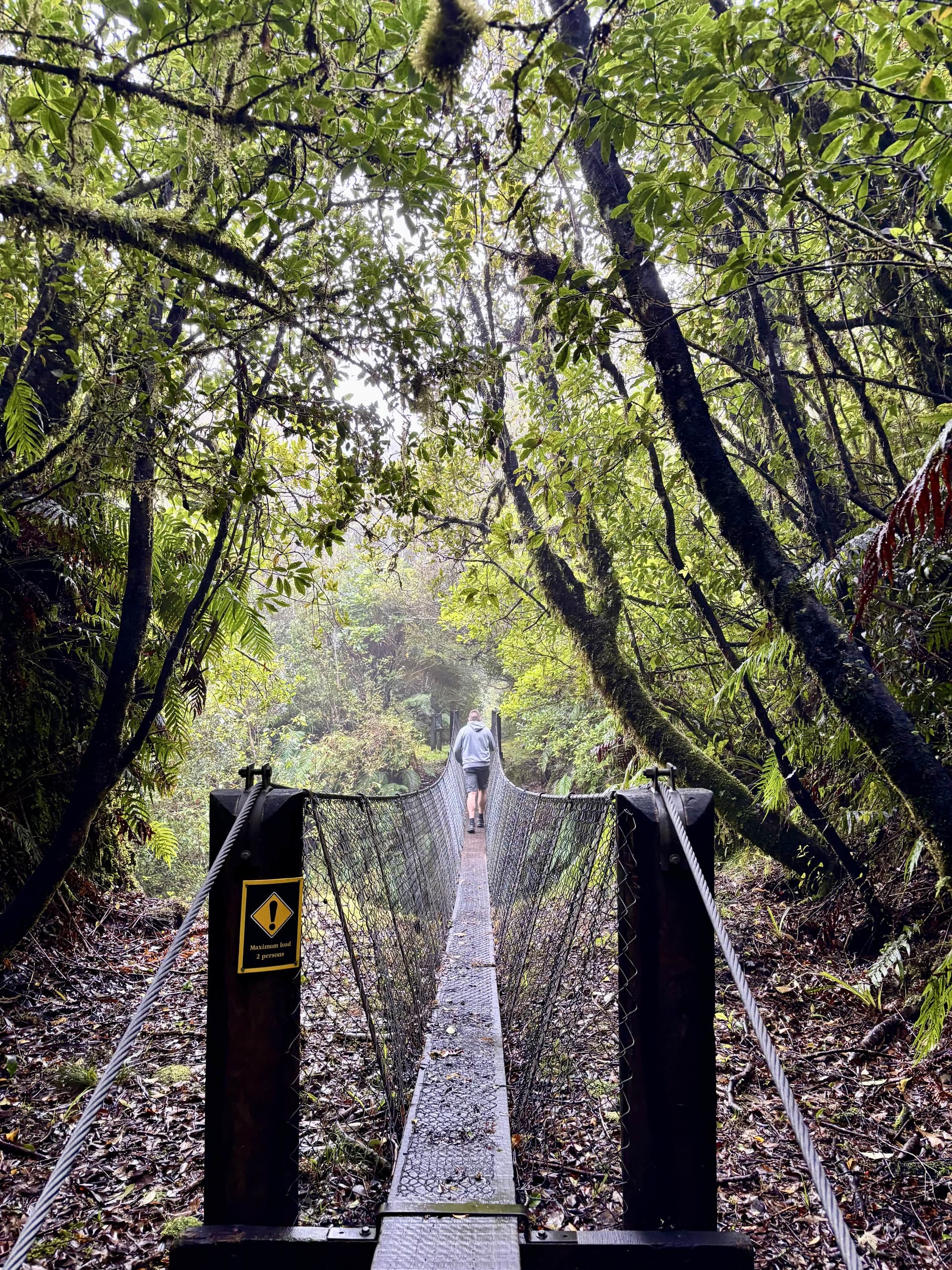 York Loop Track