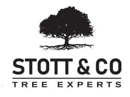 Stott & Co Tree Experts