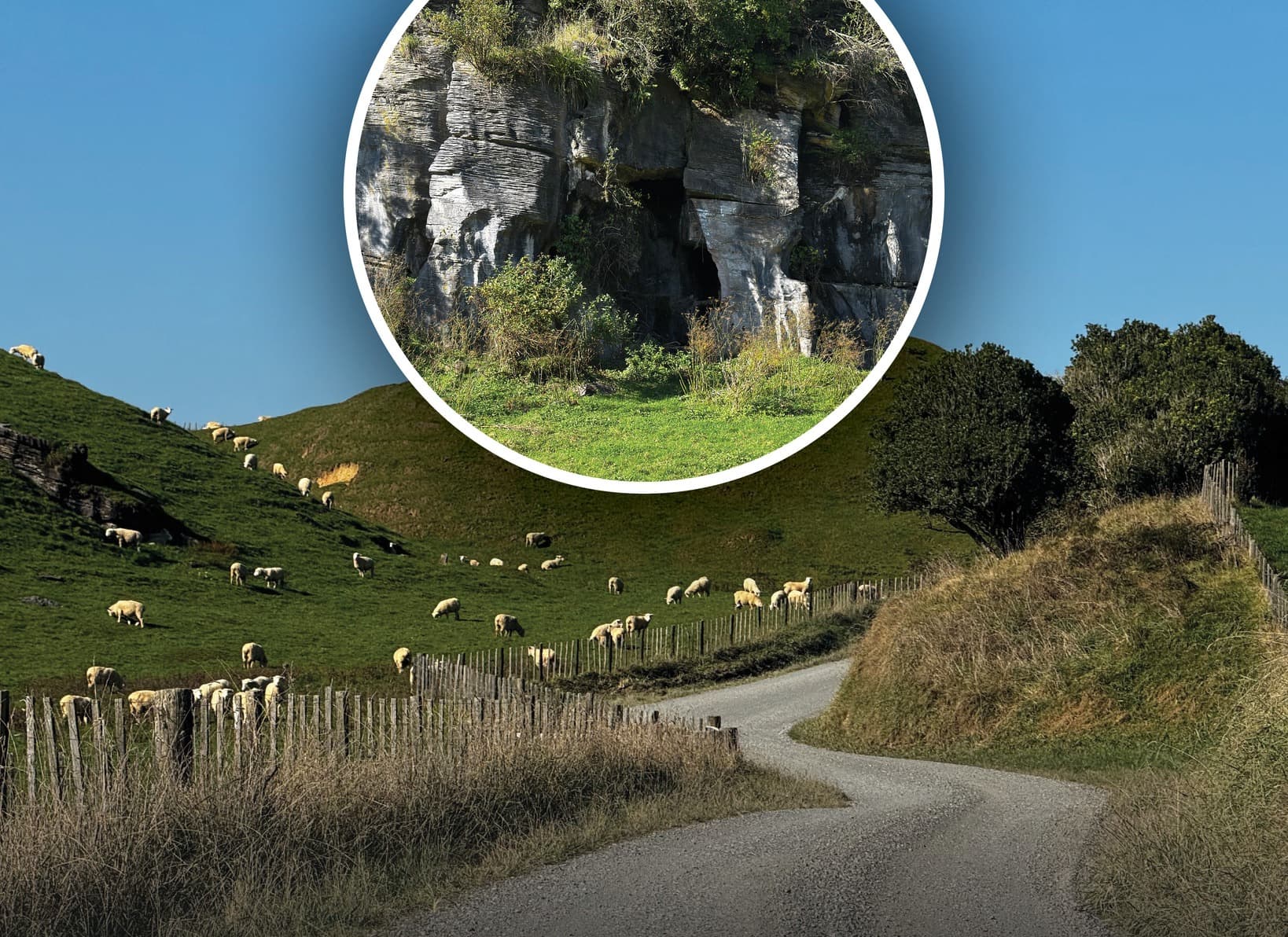Taumatamaire Road Highlighted as Informal Bypass Option During Awakino Gorge Closures