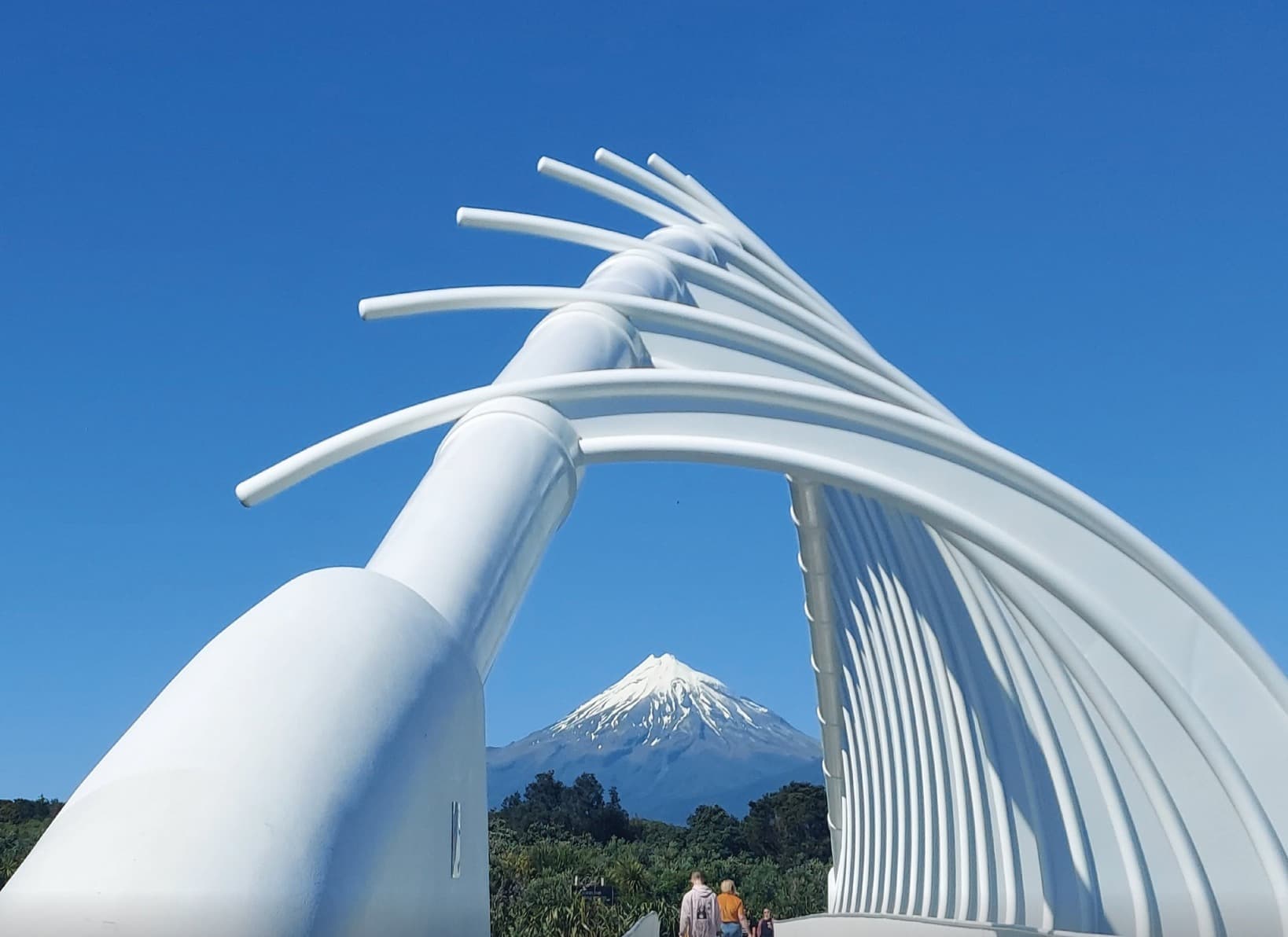 NPDC Launches Survey to Shape the Future of Local Government in Taranaki