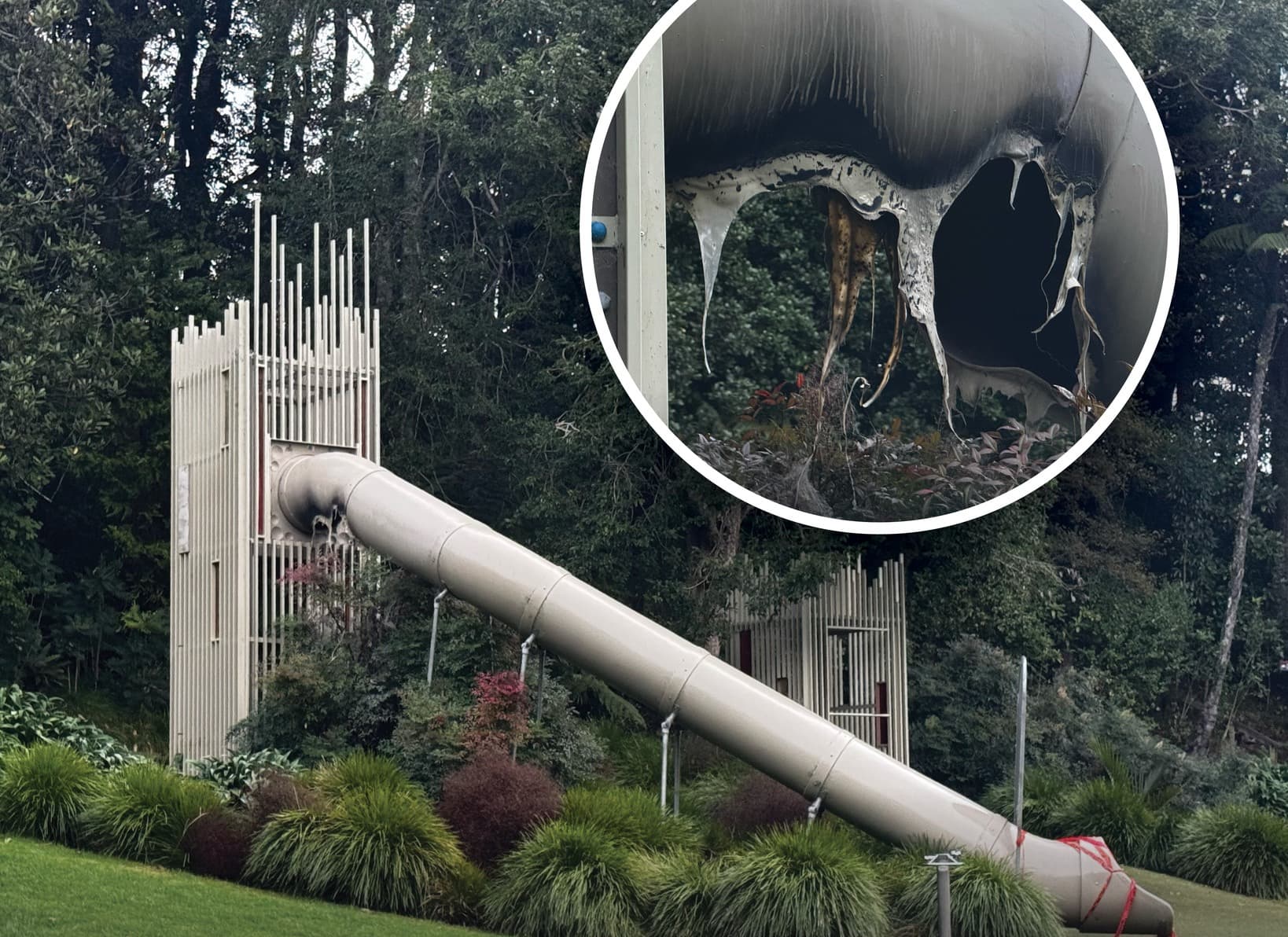 Vandalism and Fire Damage Reported at Pukekura Park Playground and Pavilion