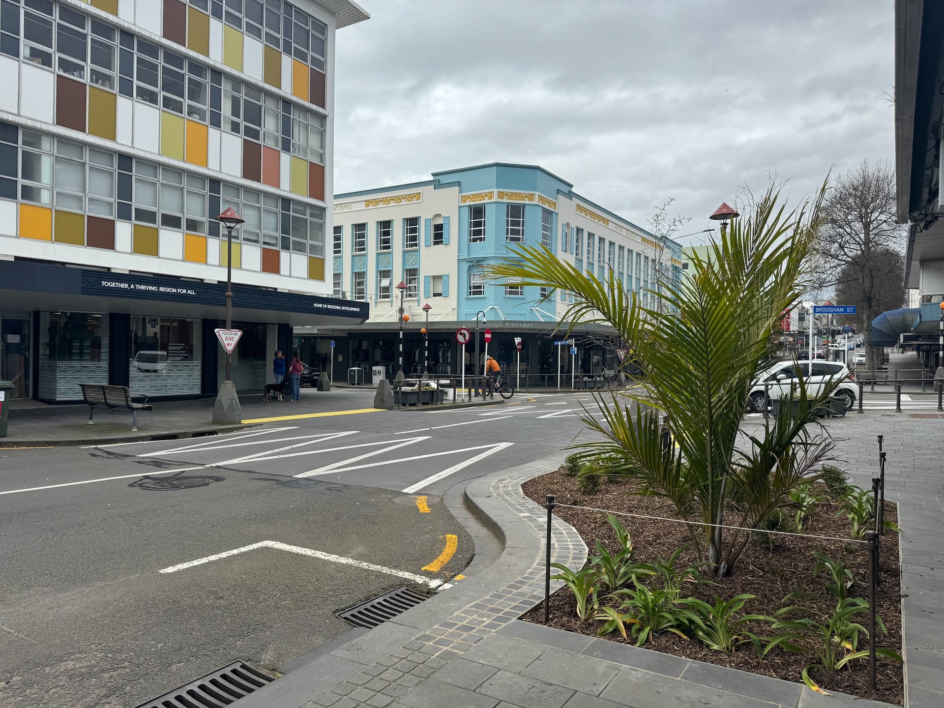 New Plymouth CBD Undergoes Green Facelift, Natives Replace Ageing Alders