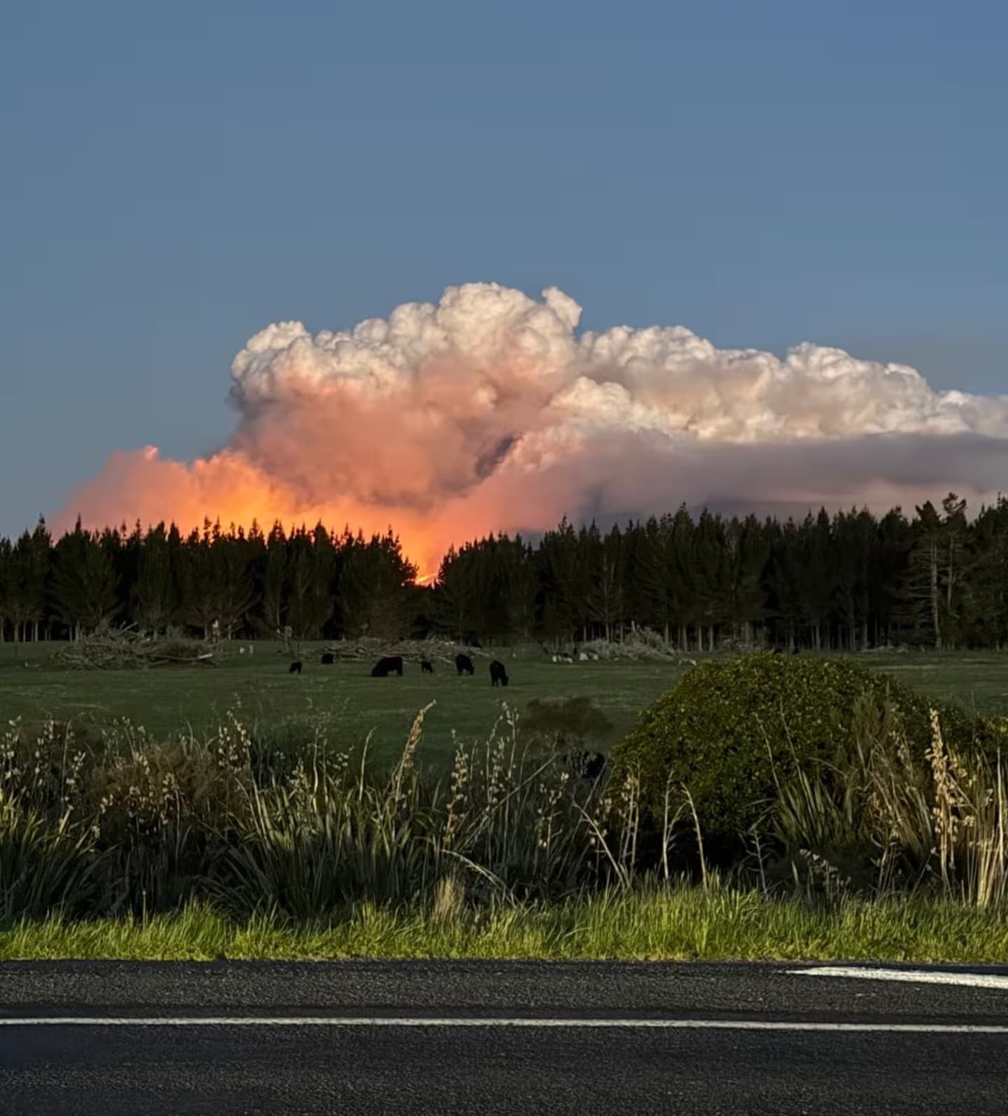 Tongariro Wildfire Spreads to 1600 Hectares, Prompting Further Evacuations