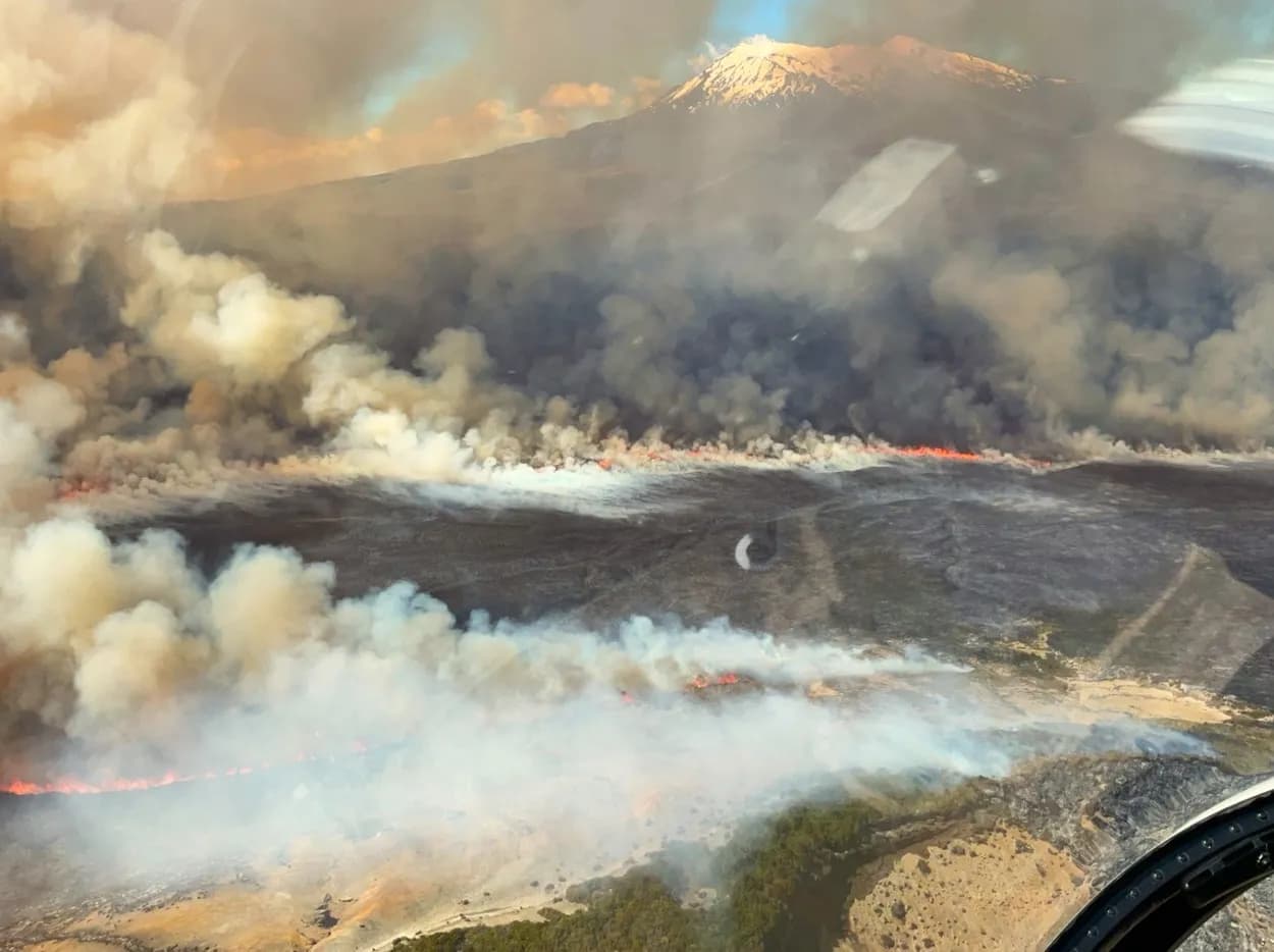 Photos Show Devastation as Tongariro National Park Wildfire Burns 3,000 Hectares