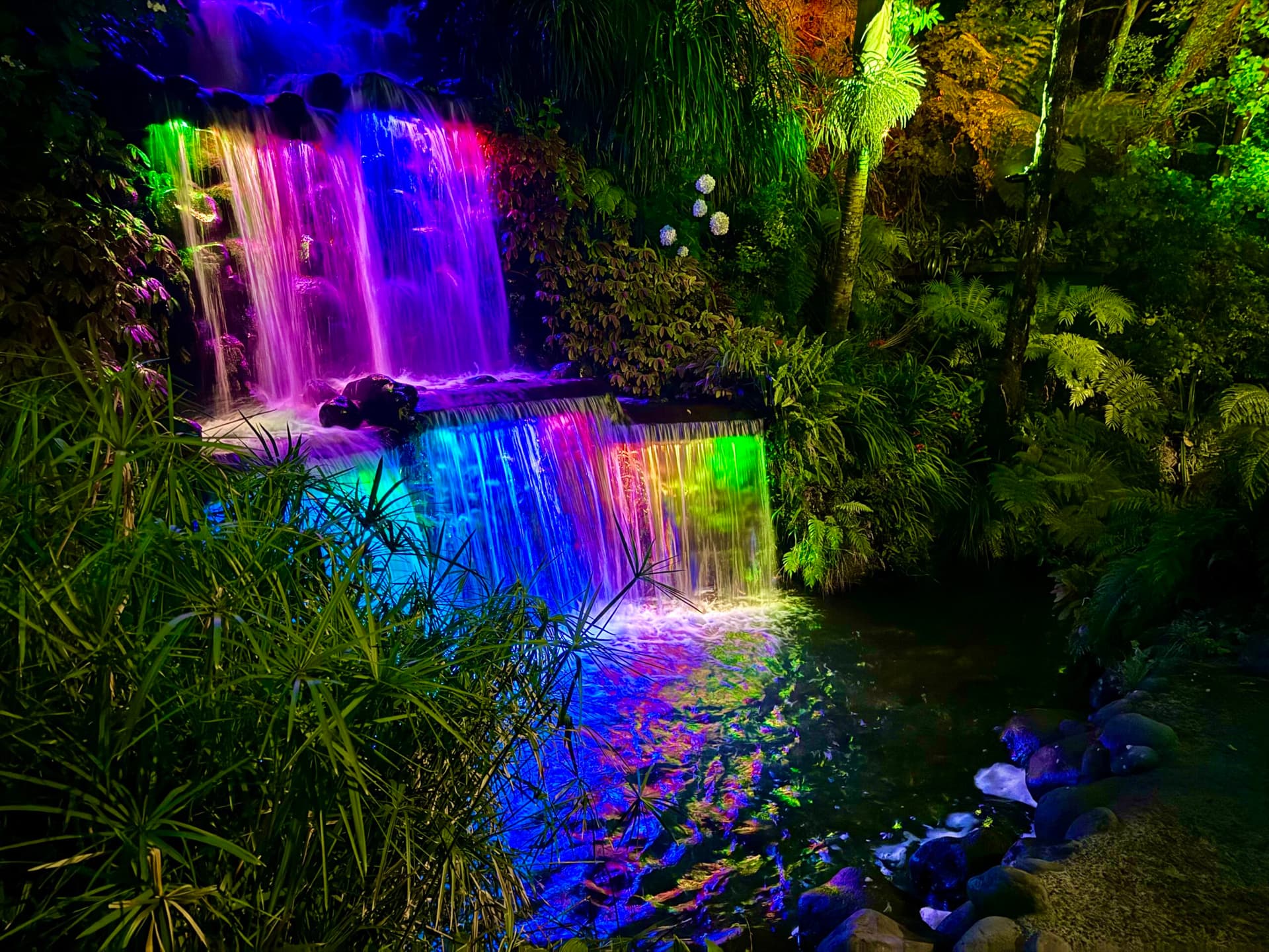 TSB Festival of Lights Kicks Off Five Weeks of Art and Entertainment in Pukekura Park