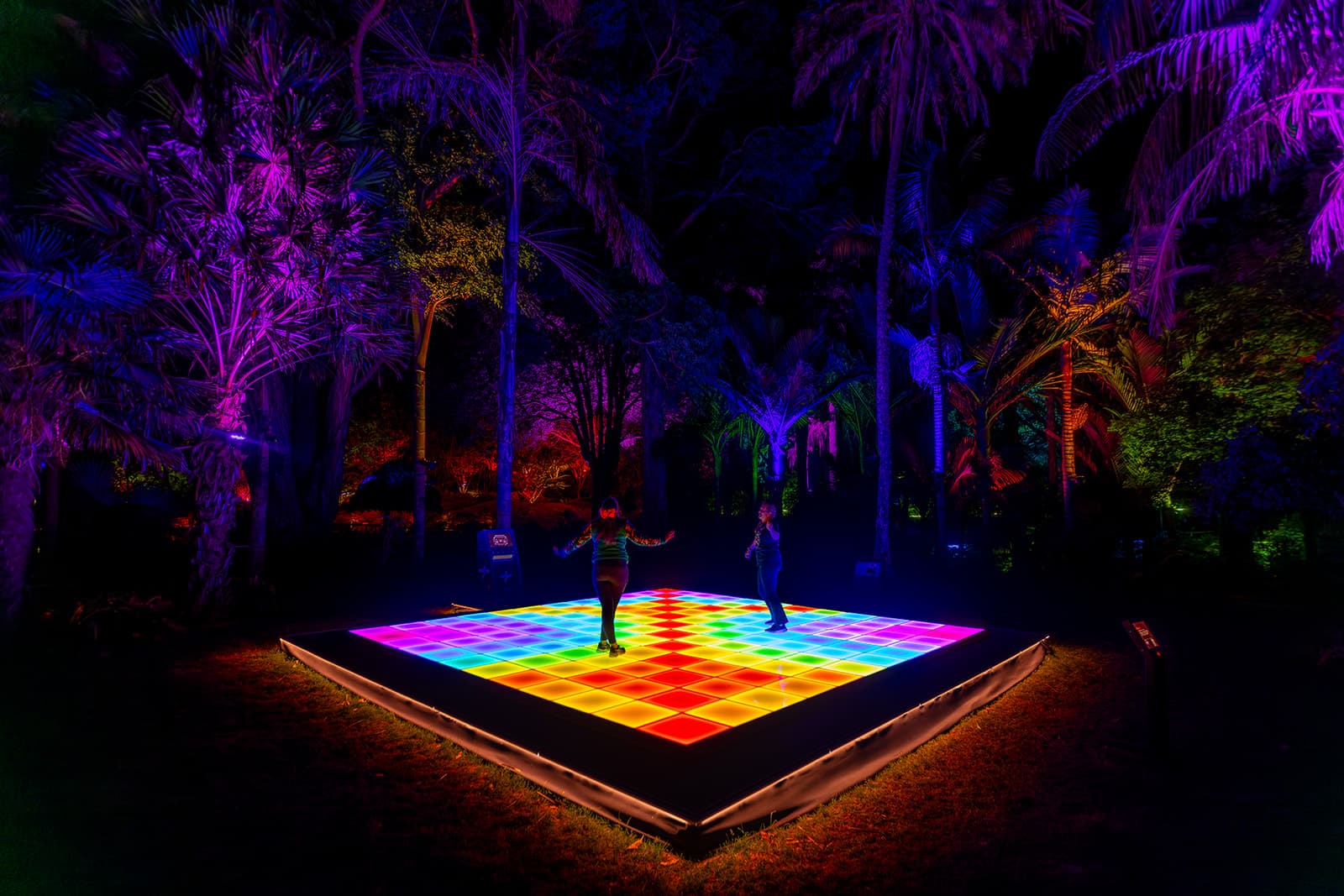 Pukekura Park Rings in New Year 2026 with Festival of Lights Celebration