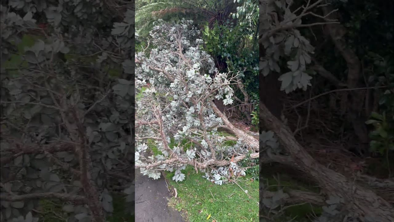 Strong Wind in Taranaki causes damage and power outages