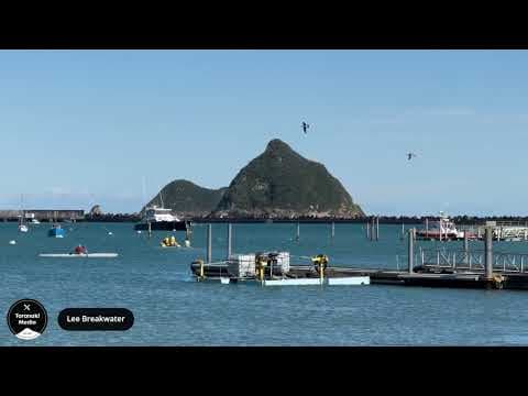 25 Minutes of New Plymouth Scenery