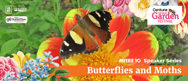 Butterflies & Moths in your Garden