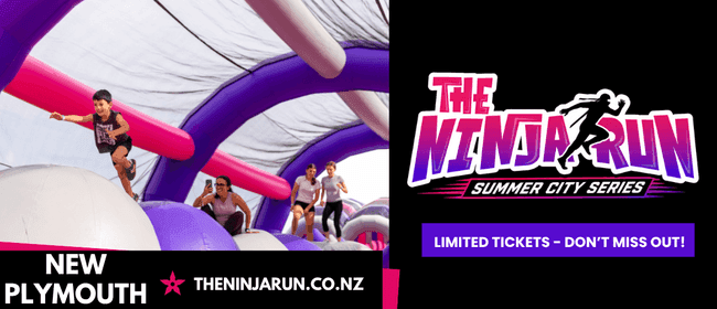 The Ninja Run