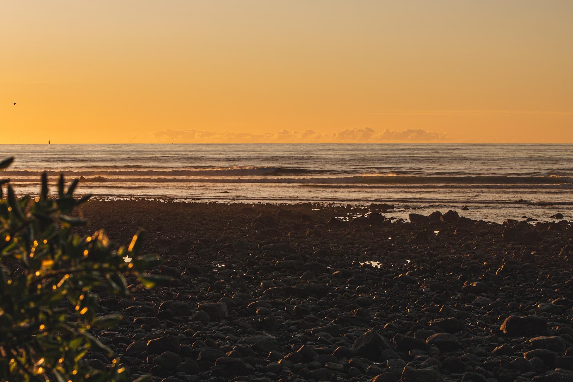 Stent Road Surf Break