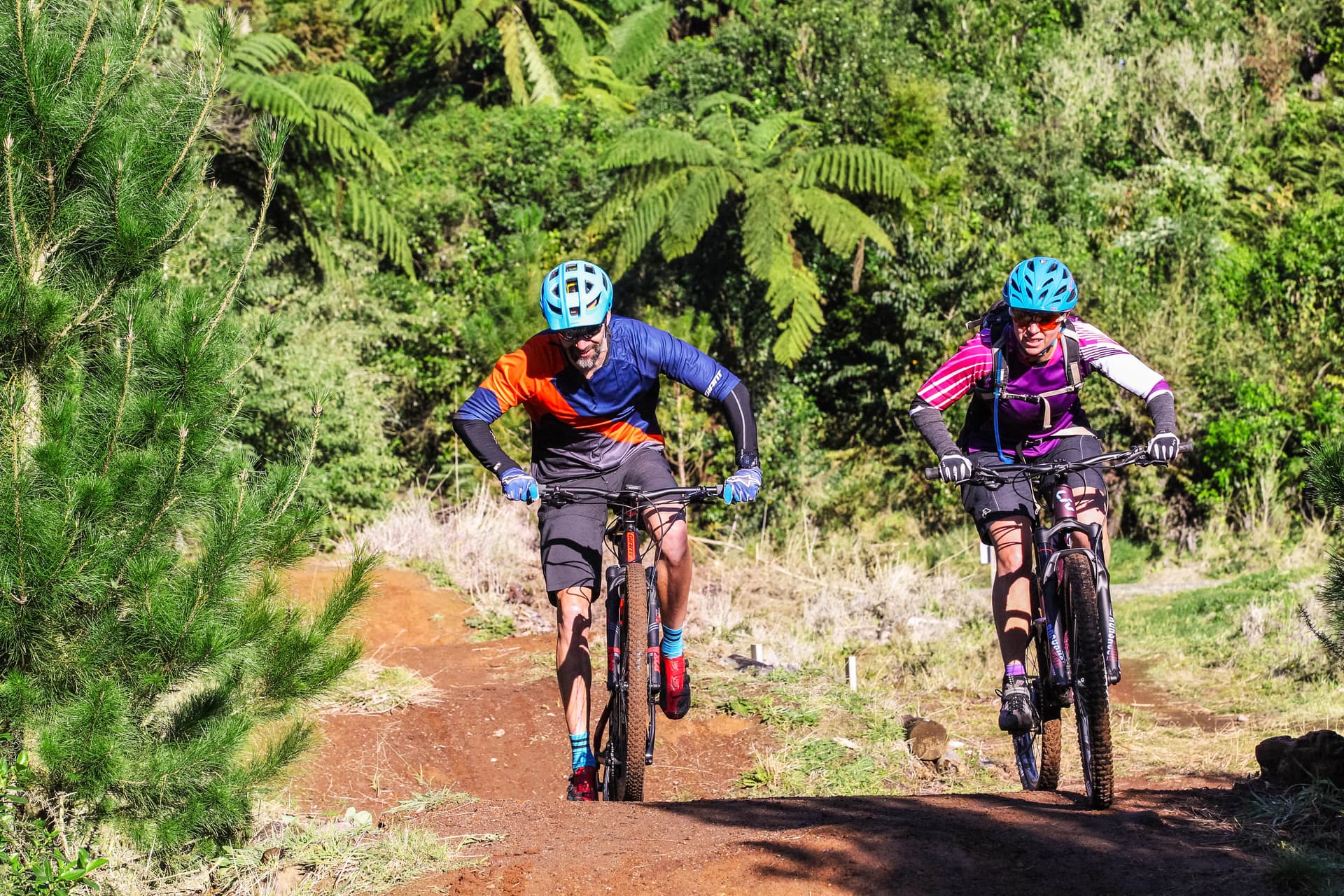 Mangamahoe Mountain Bike Park