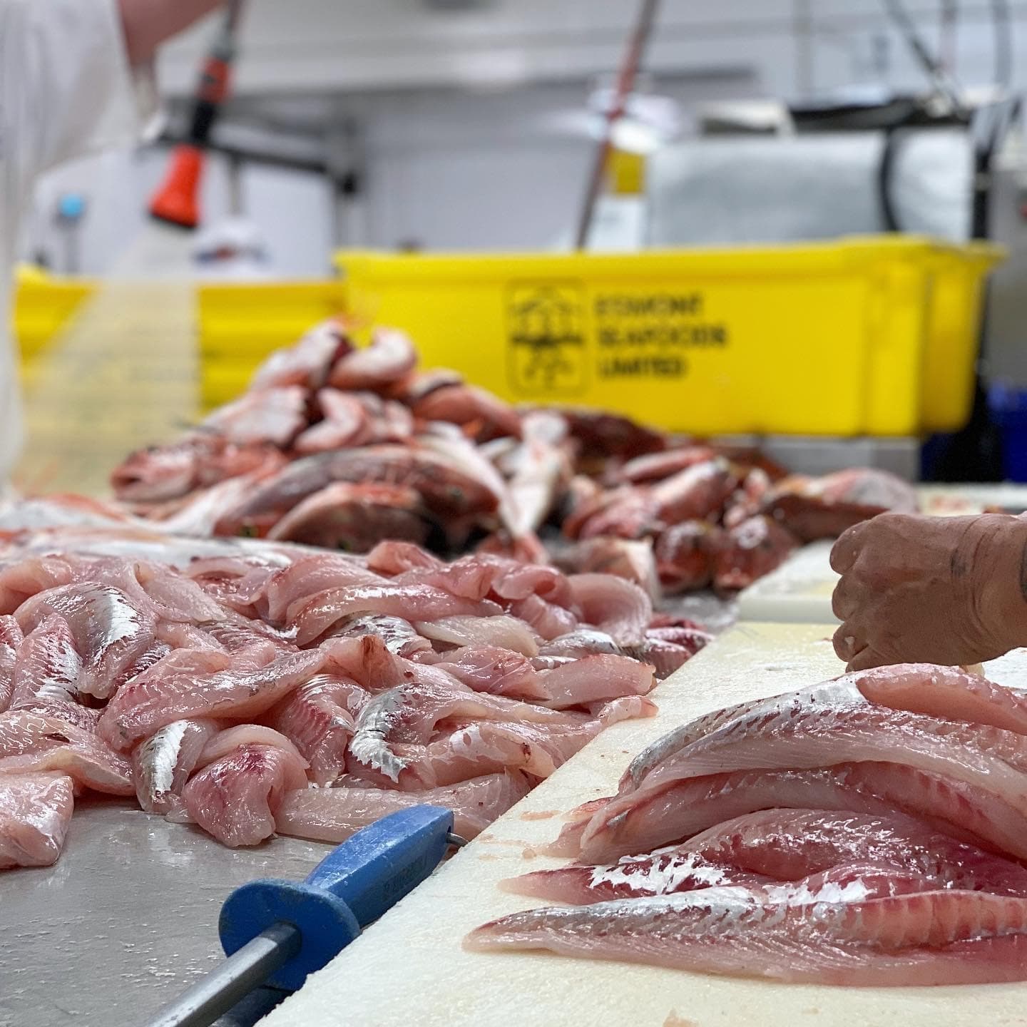 Egmont Seafoods
