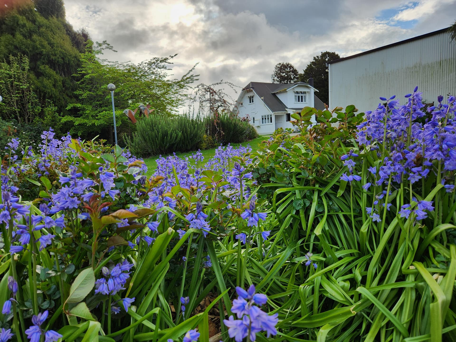 Lake Farm Garden