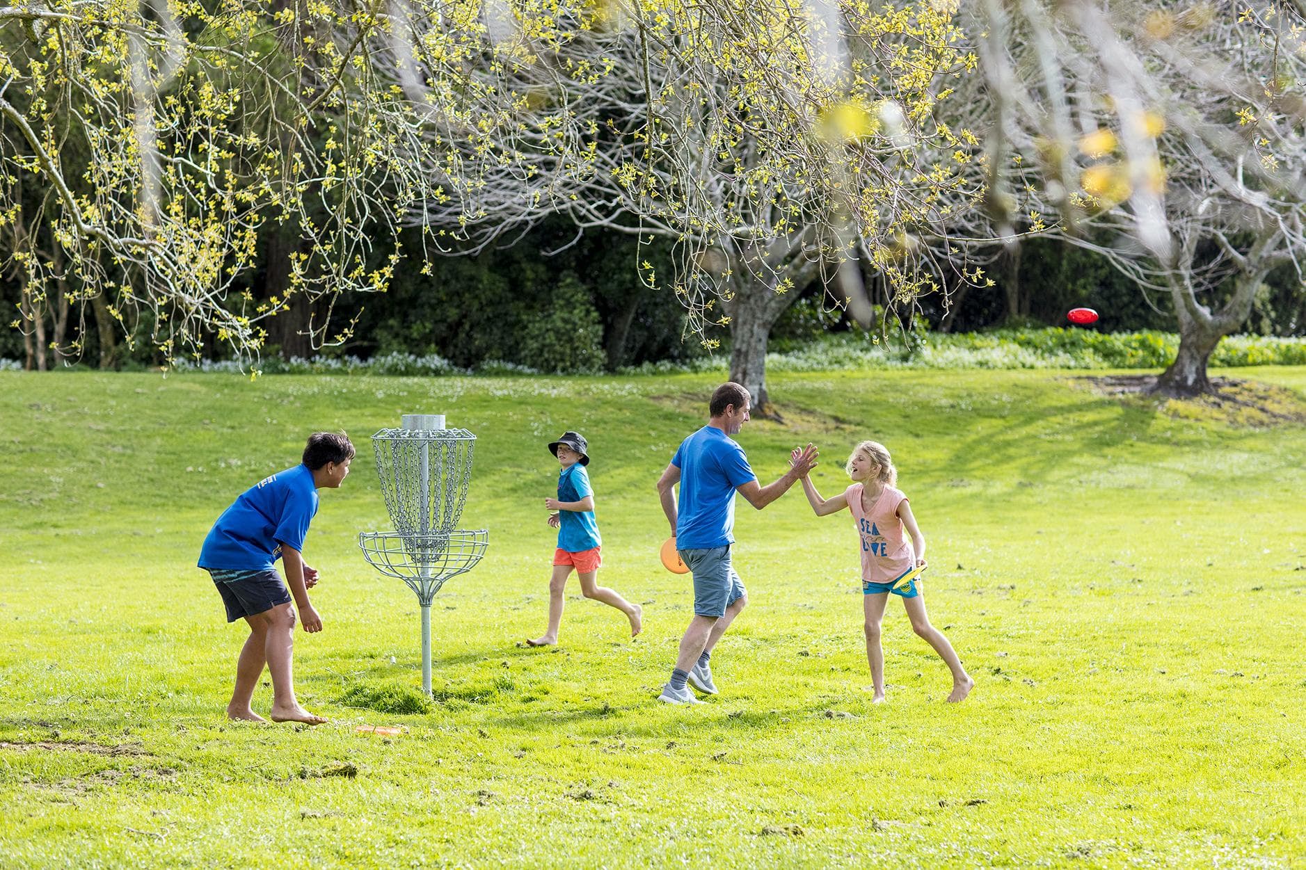 Audrey Gale Reserve
