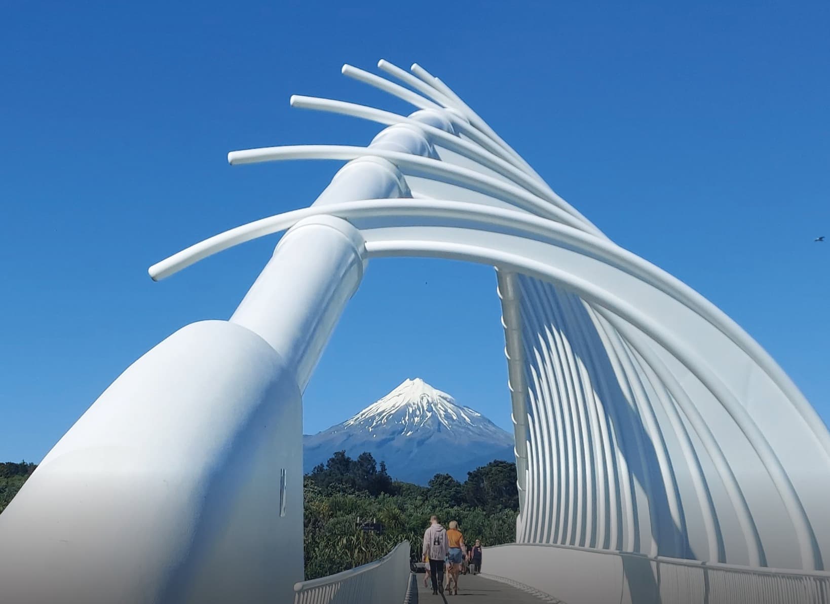 NPDC to Progress 'Pathfinder' Proposal on Future of Taranaki Local Government