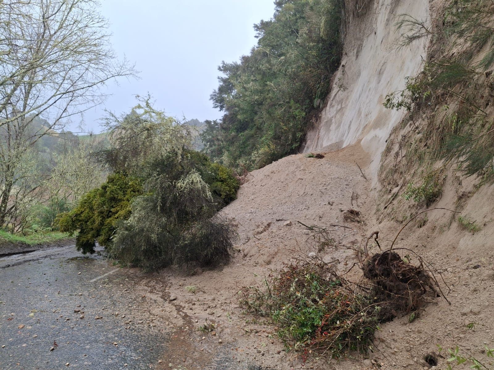 Photos: Slips close State Highways 3 and 43 in Taranaki