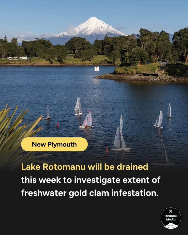 🌊 Lake Rotomanu will be drained this week as scientists move to understand the full extent of a freshwater gold clam…