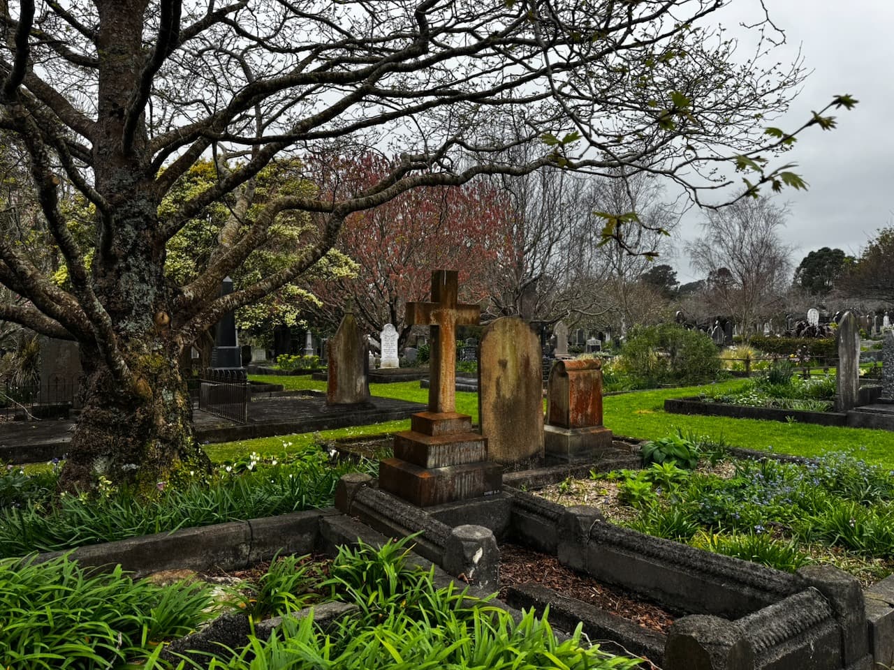 Photos: Father’s Day walk along Te Henui Walkway